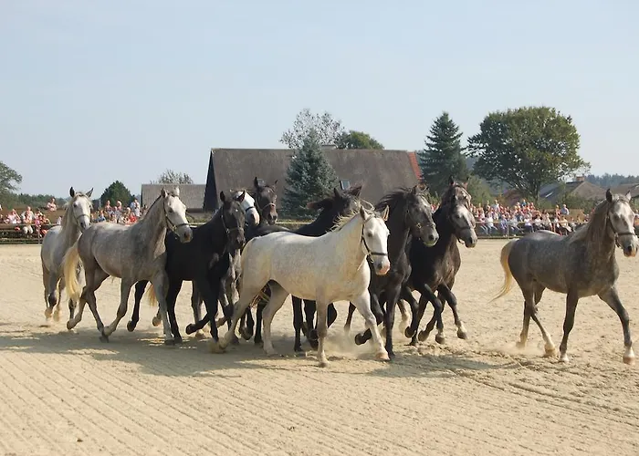 Gaestehaus Cafe Andrea 3*